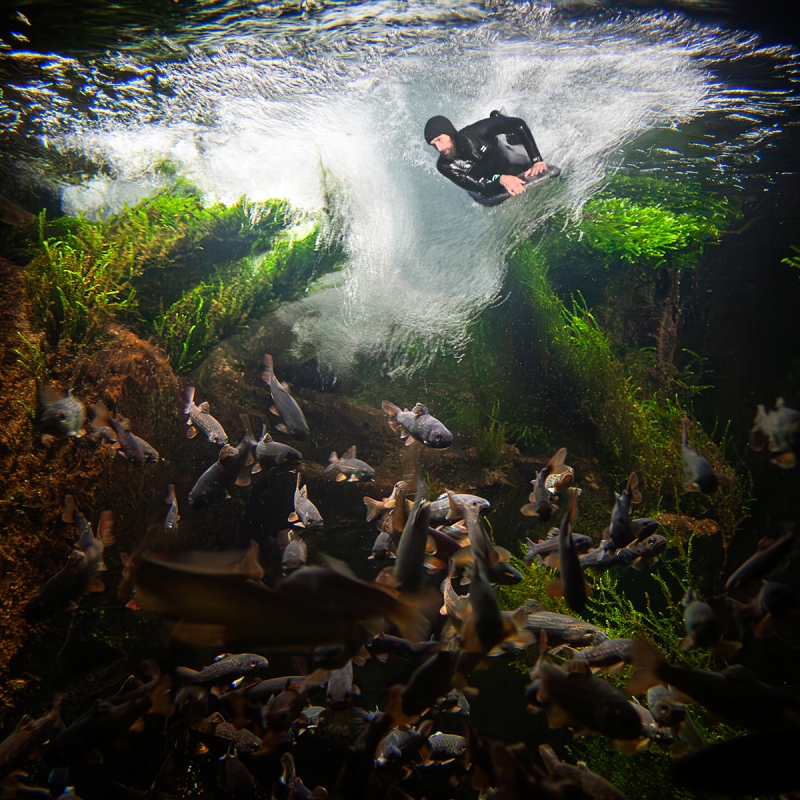 Fish Tank Bodyboarder